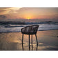 Valetti Dining Chair - PadioLiving - Valetti Dining Chair - Outdoor Dining Chair - PadioLiving