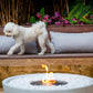EcoSmart Fire Mix 850 Fire Pit Bowl with Bioethanol Sustainable Fuel - PadioLiving - EcoSmart Fire Mix 850 Fire Pit Bowl with Bioethanol Sustainable Fuel - Fire Pit - PadioLiving